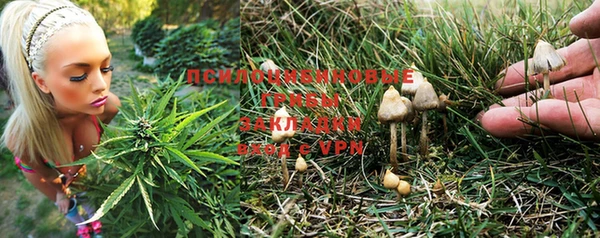 прущая мука Арсеньев