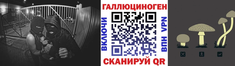 Псилоцибиновые грибы GOLDEN TEACHER  дарнет шоп  сайты даркнета официальный сайт  Балтийск 